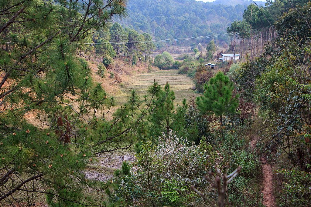 19-Landscape around Kalaw.jpg